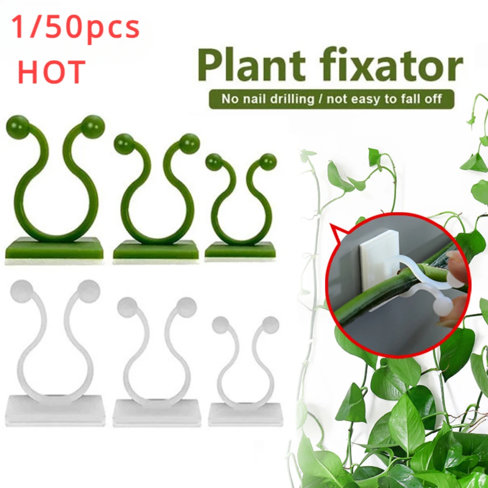 Outdoor Lighting With Outlet - 1/30/50 ชิ้นสําหรับอุปกรณ์สวนพืชสวนหม้อ & Planters ปีนกําแพงกลางแจ้ง Decors