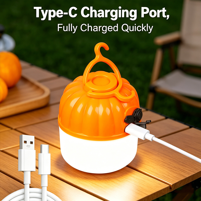 หลอดไฟ LED รูปฟักทองขนาดเล็กแบ - Outdoor Lighting Types บทวิจารณ์และราคา
